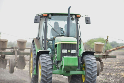 Sigue el dinamismo de siembra de sorgo