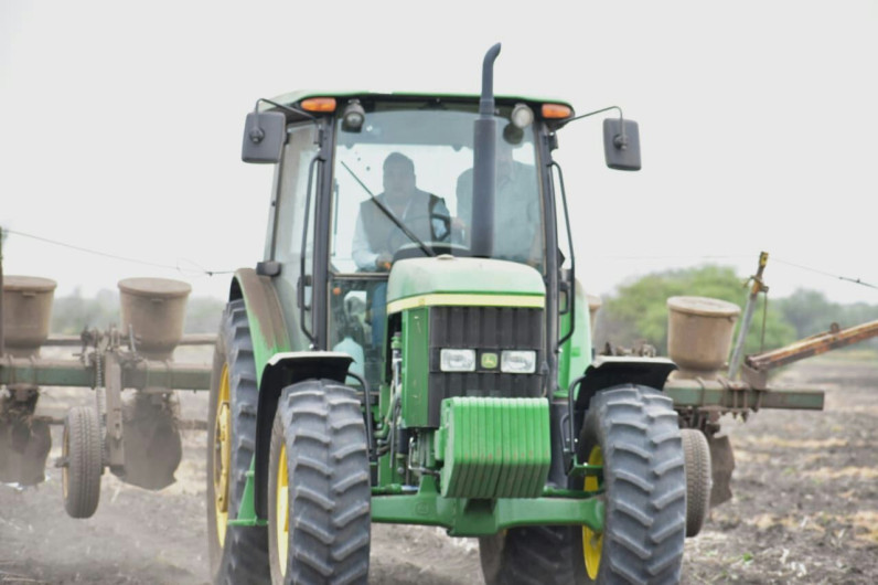 Sigue el dinamismo de siembra de sorgo