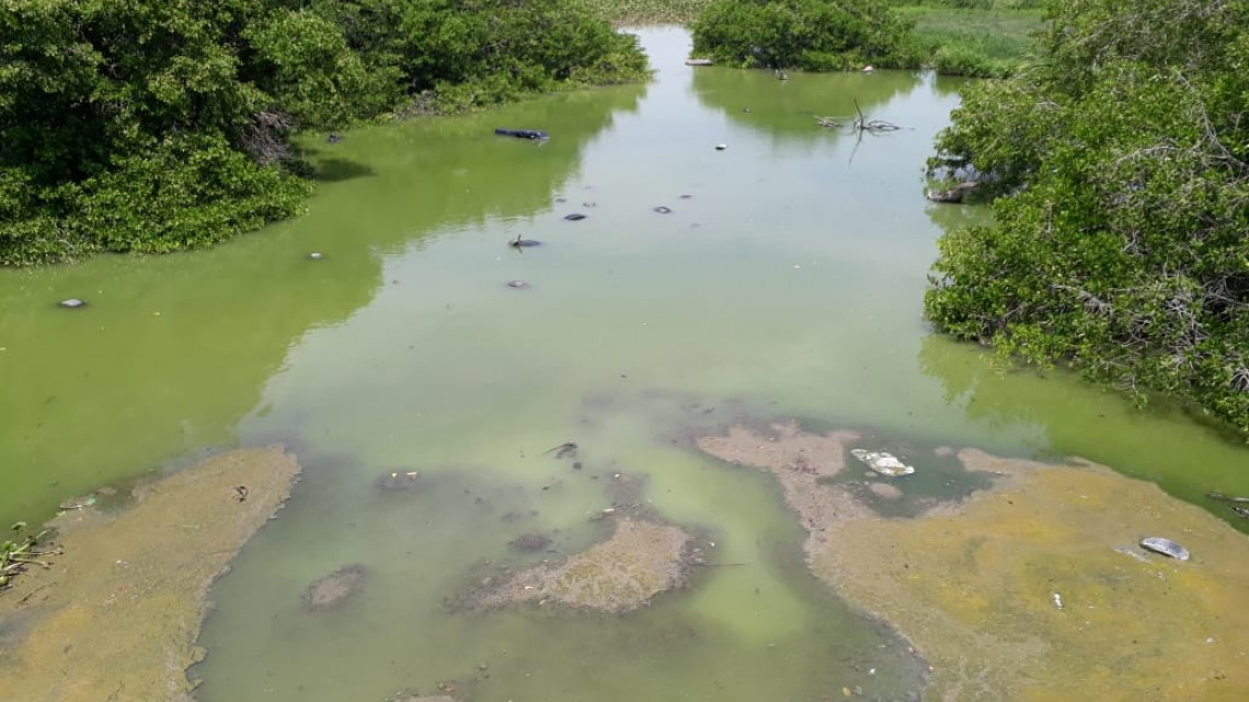 Lagunas comienzan a secarse por falta de lluvias