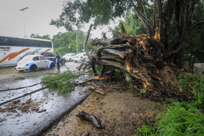 Deja Nora severa afectaciones en el occidente del país 