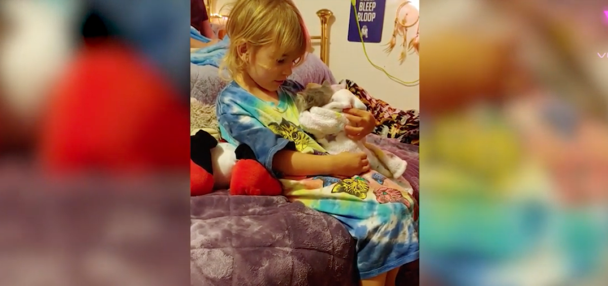 Niña acuna y canta a un gatito para que se duerma