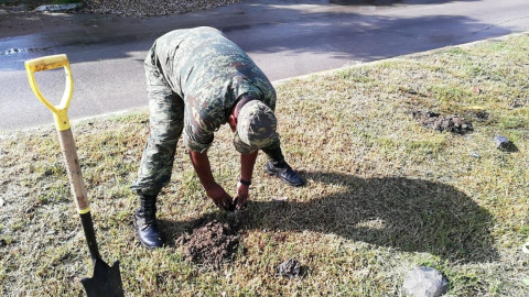 Soldados siembran más de cien árboles en la Borreguera