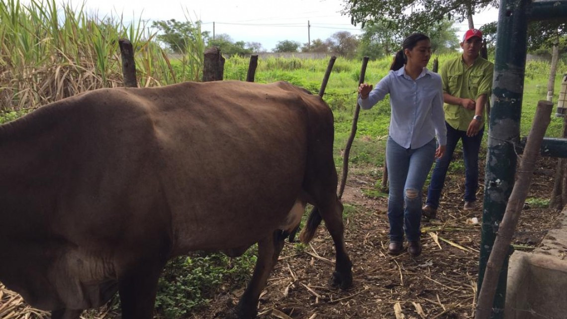 Estudiantes de agronomía, aprenden técnicas para hacer producir el campo en sus distintas modalidades.