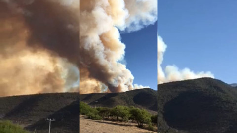 Dantesco incendio se registra de nueva cuenta en la Sierra de Miquihuana 