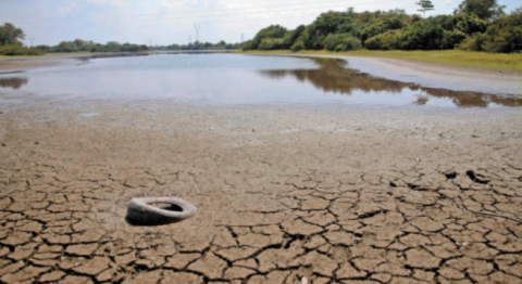 Advierte Conagua que 46% de México está siendo afectado por sequías; noreste y norte, las zonas más graves