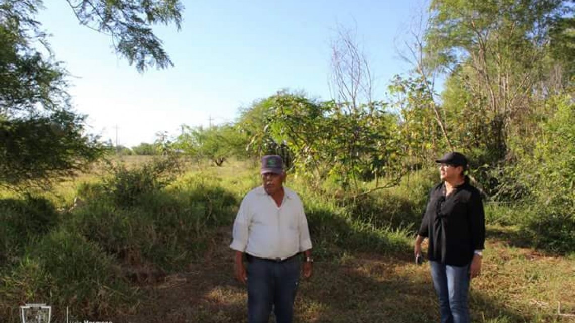 Realizan actividades del programa “Limpiando tu colonia”