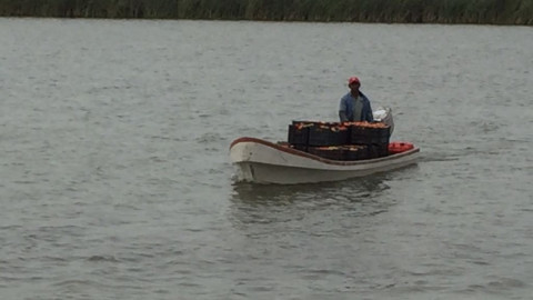 Proponen rescate de la laguna de Champayán