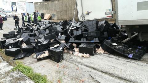 Esparcidos en la calle 15 toneladas de pollo