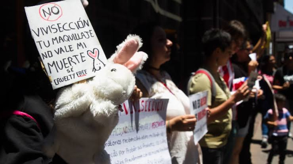 Prohíben en México hacer pruebas cosméticas en animales