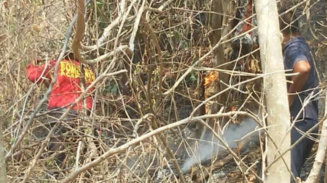 Combaten brigadistas incendio forestal en Parque Nacional El Veladero