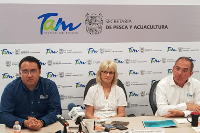 Tamaulipas desarrolla industria de los moluscos