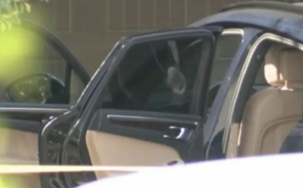 Niño muere debido a un golpe de calor después de ser olvidado en automóvil por su madre