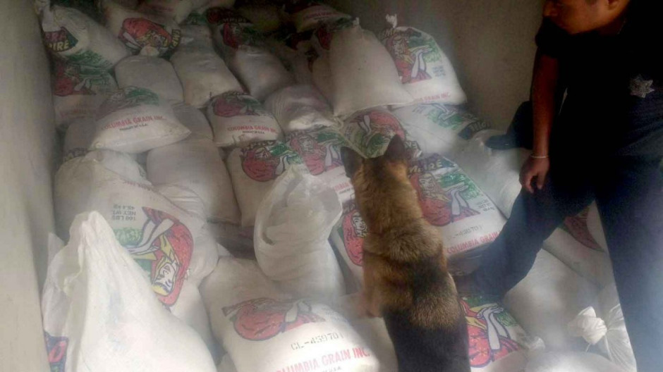 Decomisan seis costales de cristal en Nayarit