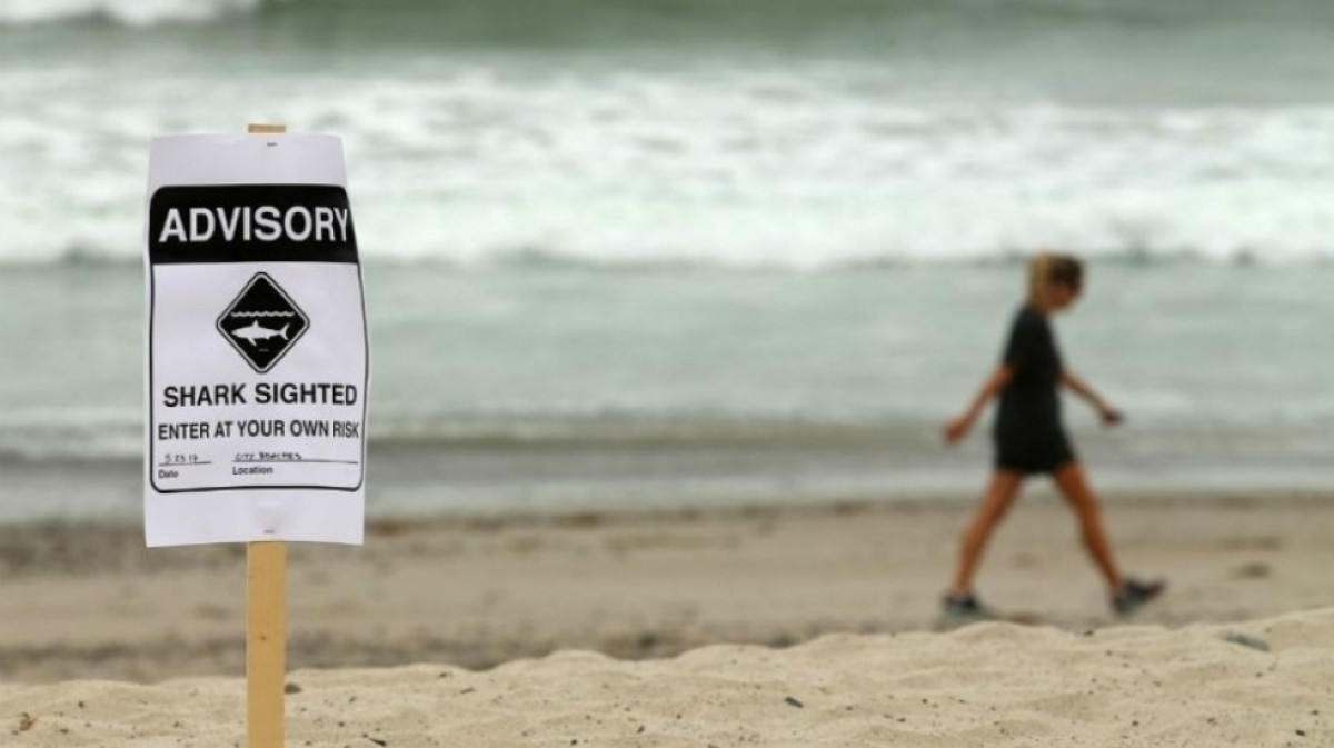 Tiburón ataca y deja dos lesionados en EU