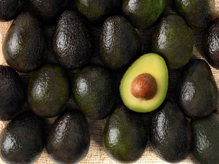 Aguacate registra el precio más alto 