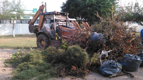 Desarrolla Servicios Primarios trabajo de mantenimiento