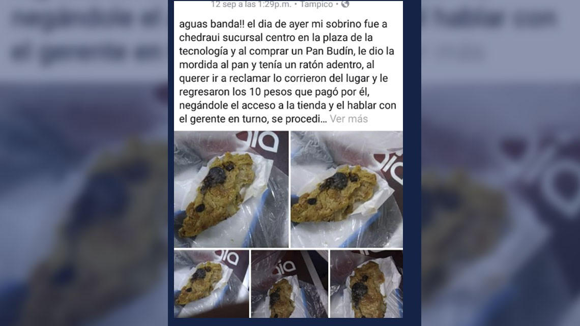 Denuncian rata muerta en pieza de pan