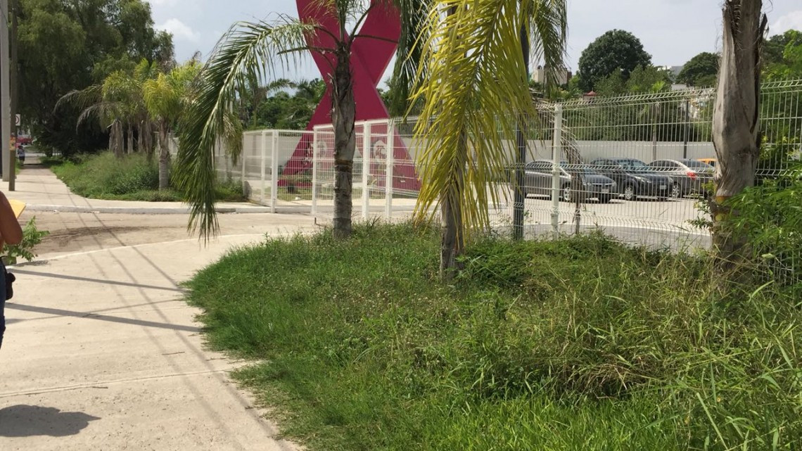 Invadido de maleza la Unidad Especializada en Cáncer de Mama de Tampico
