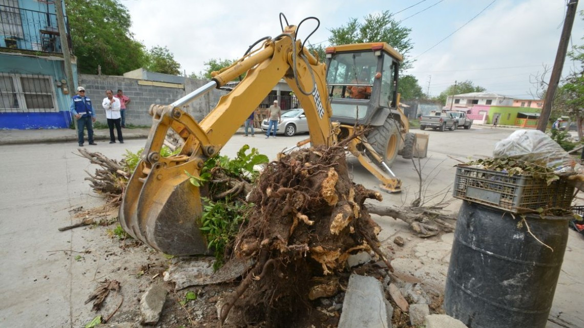 Continúan labores de descacharrización y reparación de alumbrado público