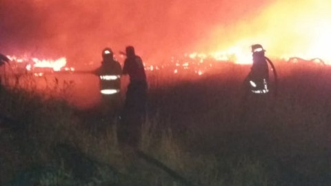 Continuos incendios de pastizales y baldíos 