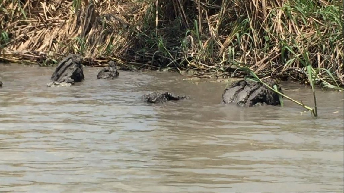 Urge proyecto de captación de agua lluvia en el Champayán y el Tamesí