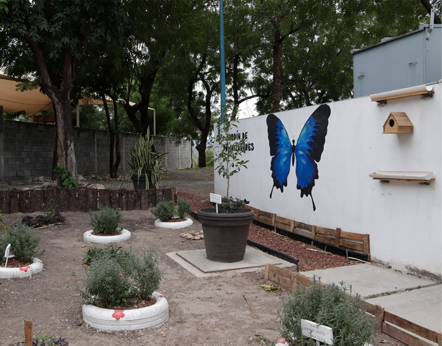 Crean en la UAT espacio ambiental y sustentable para especies polinizadoras