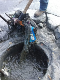 Urgente dejar de tirar basura en vía pública