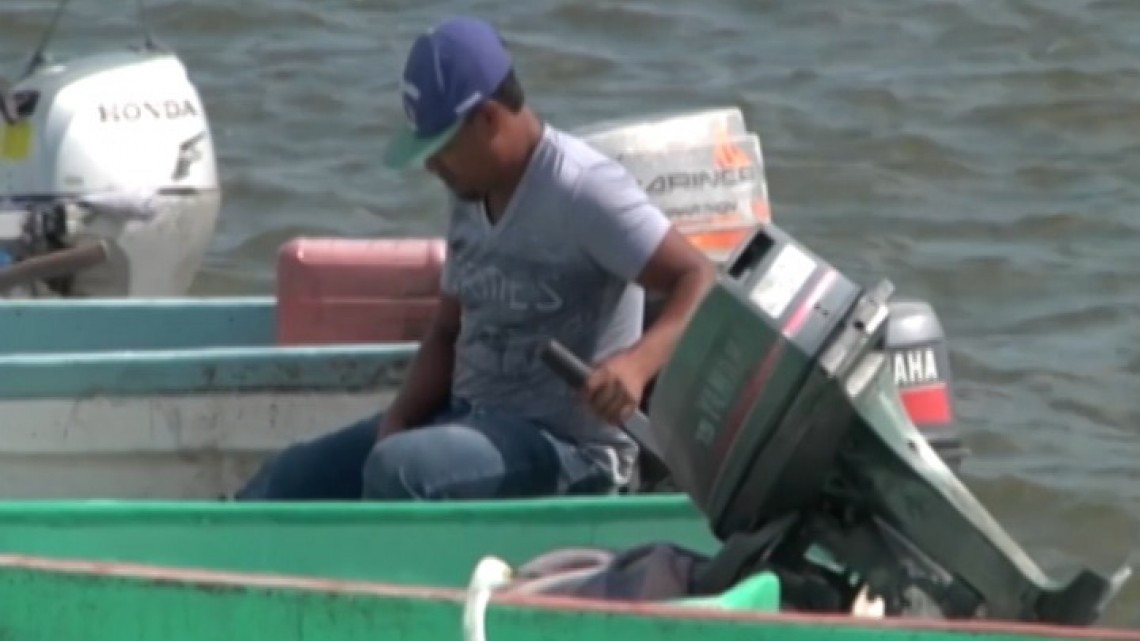 Organizaciones pesqueras piden un mayor control en la captura de especies