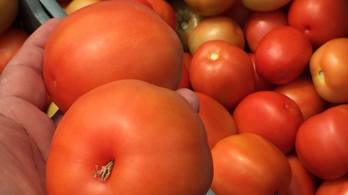 Inversionistas extranjeros interesados en la producción de hortalizas en Altamira.