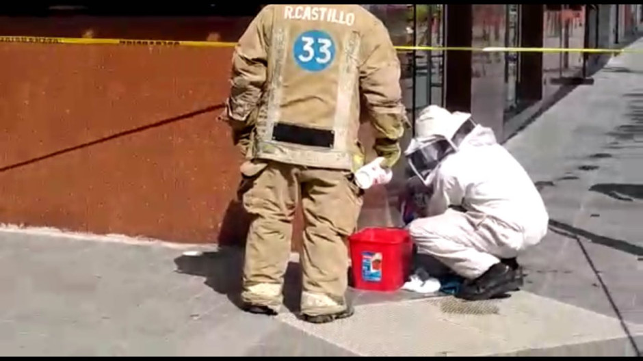 Eliminan enjambre de abejas en zona centro de Tampico