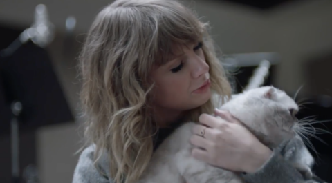 Taylor Swift actuará en "Cats", la película