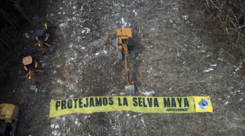 No hay activismo ambientalista por el Tren Maya sino "oposición politiquera": AMLO 