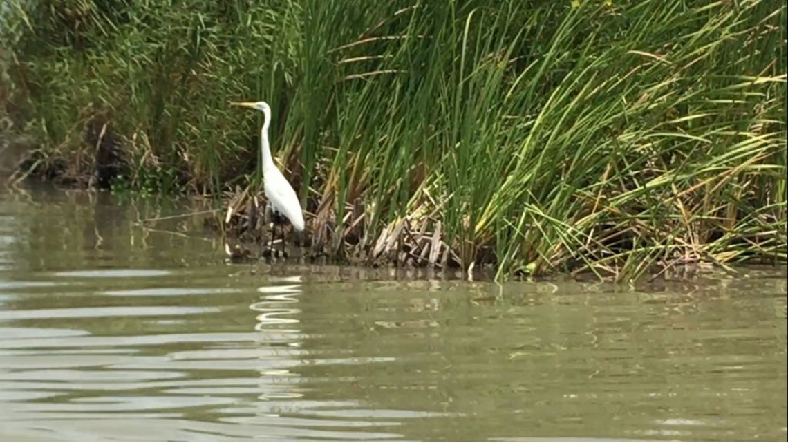 Urge proyecto de captación de agua lluvia en el Champayán y el Tamesí