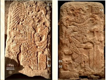 Más de 27 mil bienes y 450 osamentas se han recuperado en ruta del Tren Maya: INAH