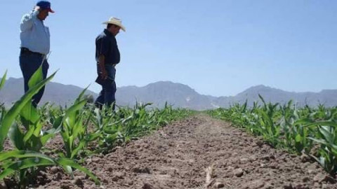 Juan Carlos Córdova exige seguridad para agricultores