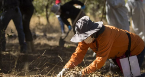 Publica Gobierno Federal en el DOF decreto para la creación del Centro Nacional de Identificación Humana