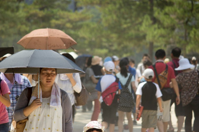 Ola de calor deja más de 30 muertos en Japón