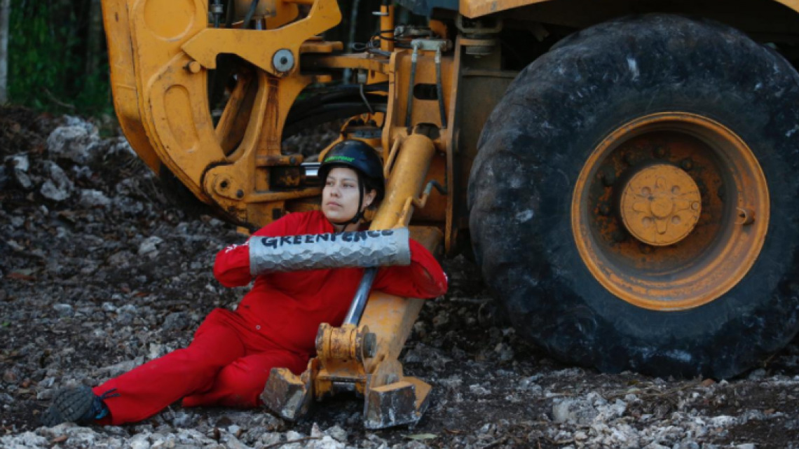 Pide GreenPeace México suspensión inmediata de construcción del tramo 5 del Tren Maya 