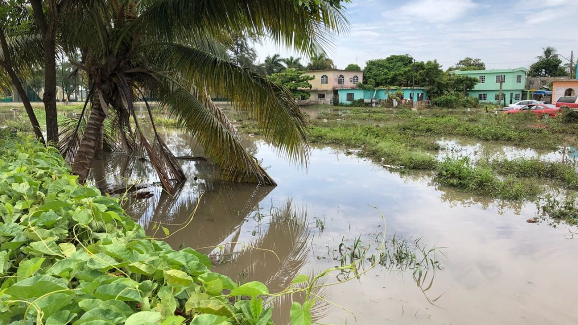Se desborda canal a cielo abierto en la Borreguera
