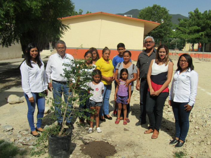 Reforestación en escuelas mitiga cambio climático