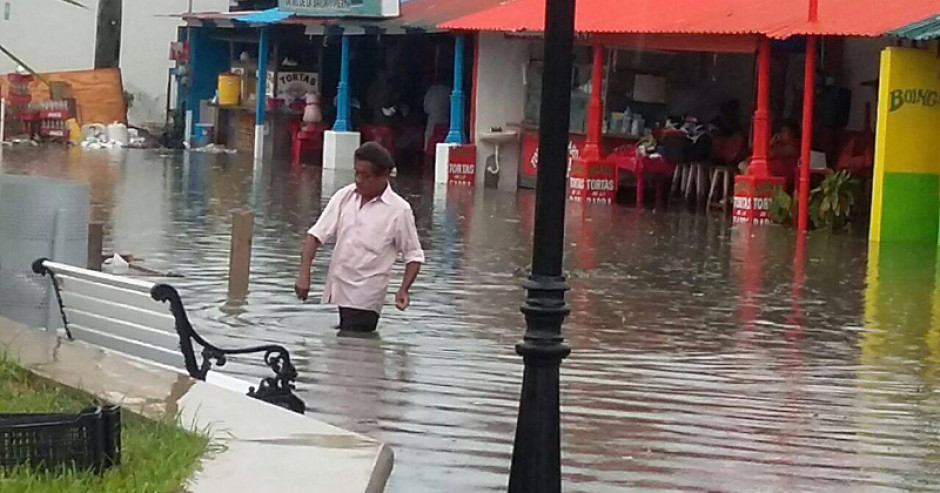 Sedesol apoyará con solo mil pesos a damnificados en el sur 