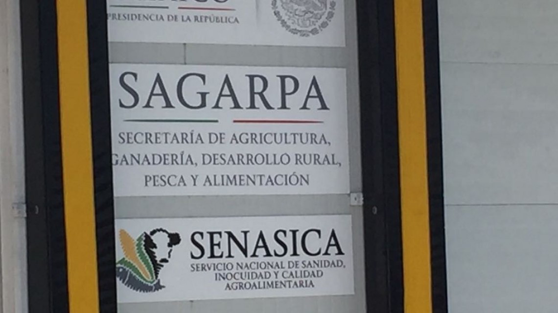 Puerto de Altamira incrementa su competitividad, con instalación de inspección sanitaria