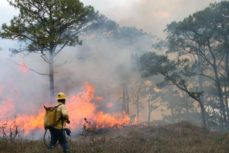 La temporada de incendios forestales dura 9 meses aproximadamente