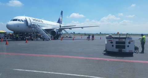 Suspenden vuelos en Puebla por caída de ceniza del Popocatépetl