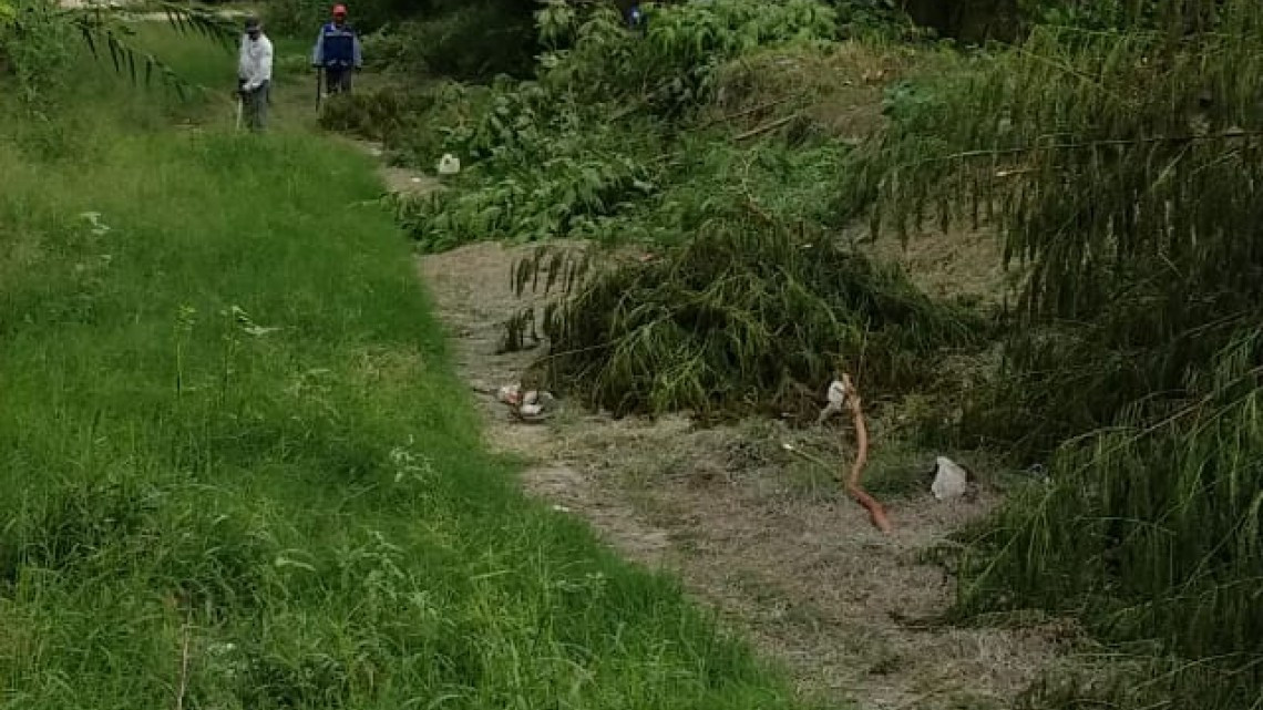 Continúa Servicios Primarios limpieza y desazolve