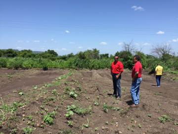 A punto de iniciar la construcción de la Sala de Extracción de Miel en Llera