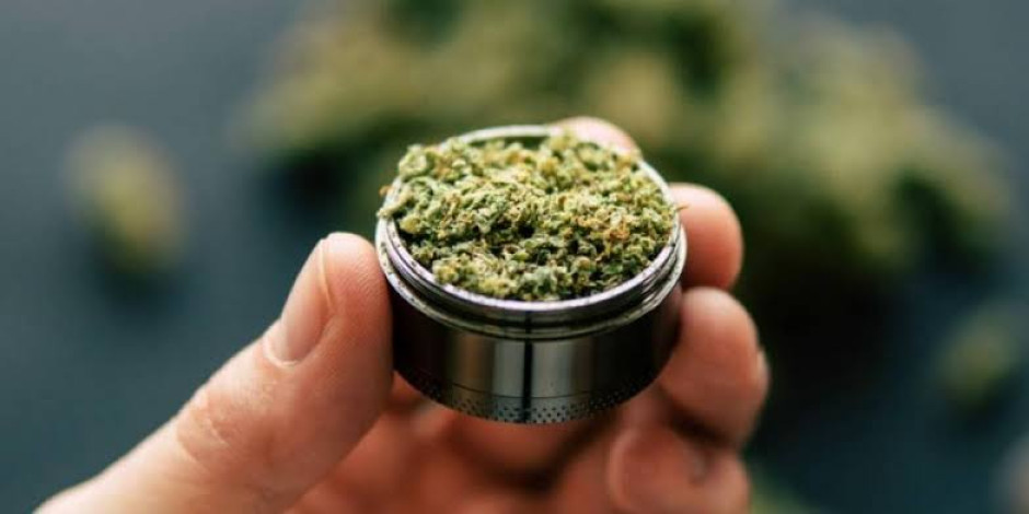 Corte definirá el lunes prohibición a uso recreativo de la mariguana