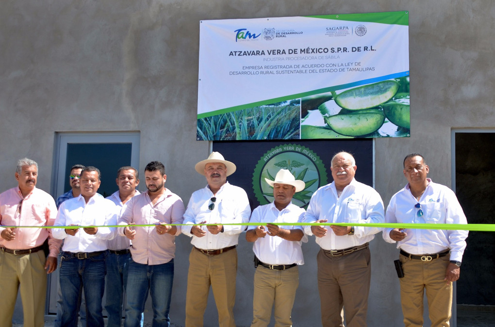 Con planta procesadora de sábila, Gobierno impulsa los Agronegocios