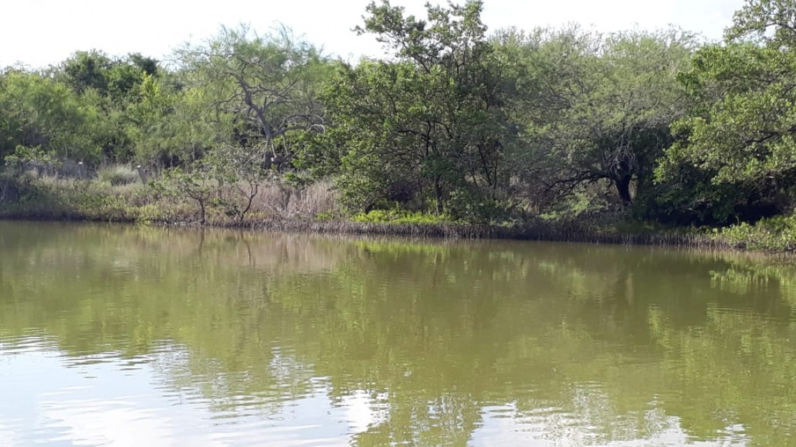 Cierre de barra de Chavarría, pone en riesgo Pesca en Laguna de San Andrés