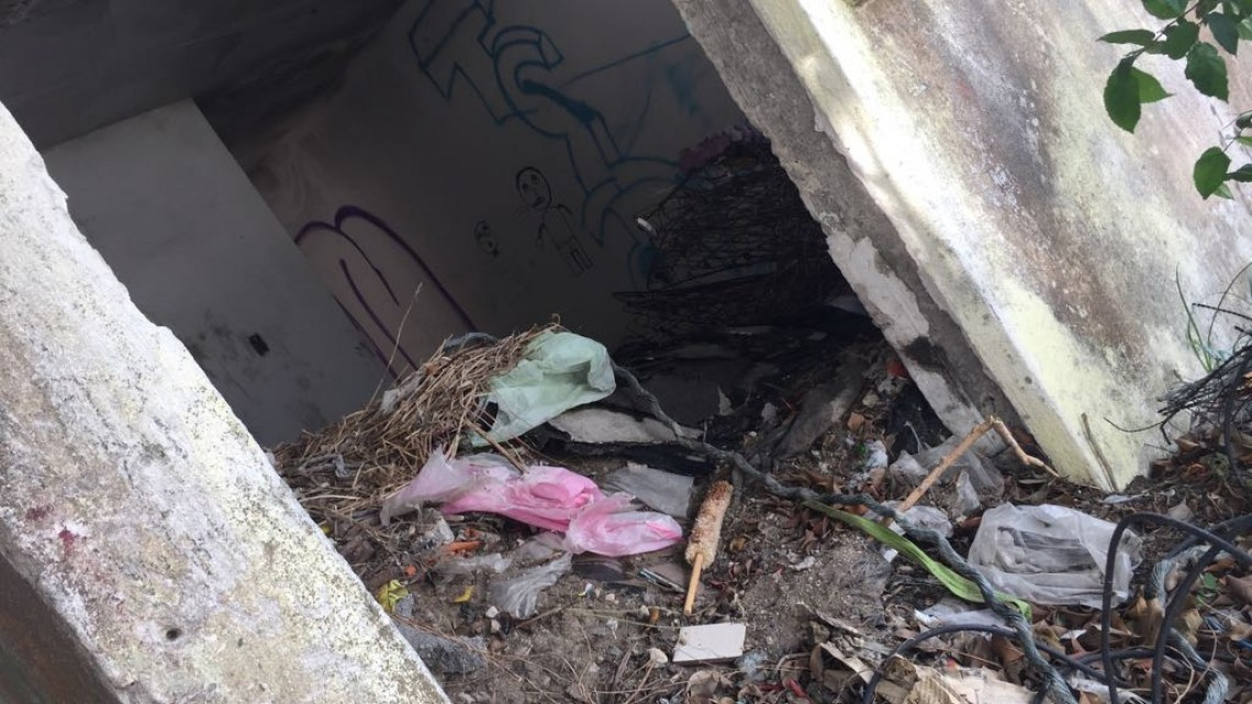 Por crecimiento en desorden, problemática de viviendas abandonadas: Asociación de Arquitectos